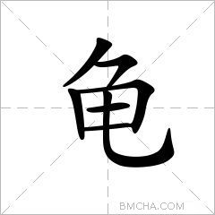 龟