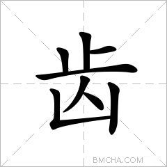 齿