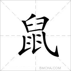 鼠