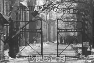纳粹确定处理犹太人的最后解决方案--种族灭绝