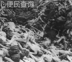 纳粹确定处理犹太人的最后解决方案--种族灭绝