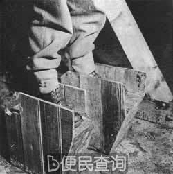 纳粹确定处理犹太人的最后解决方案--种族灭绝