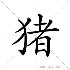 猪